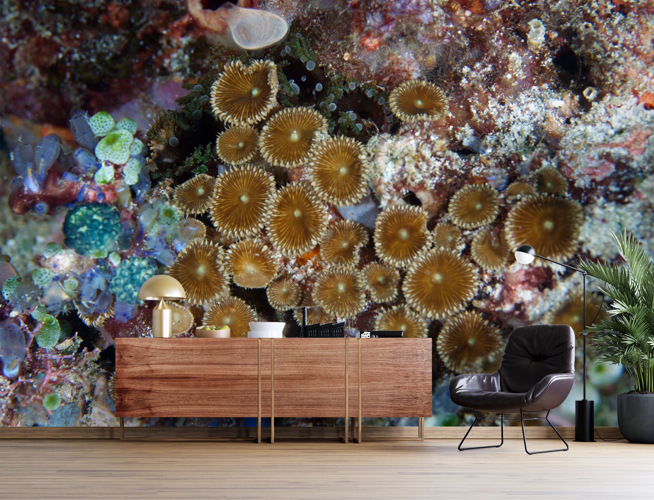 3D Sea Coral 2054 Wall Mural Wall Murals