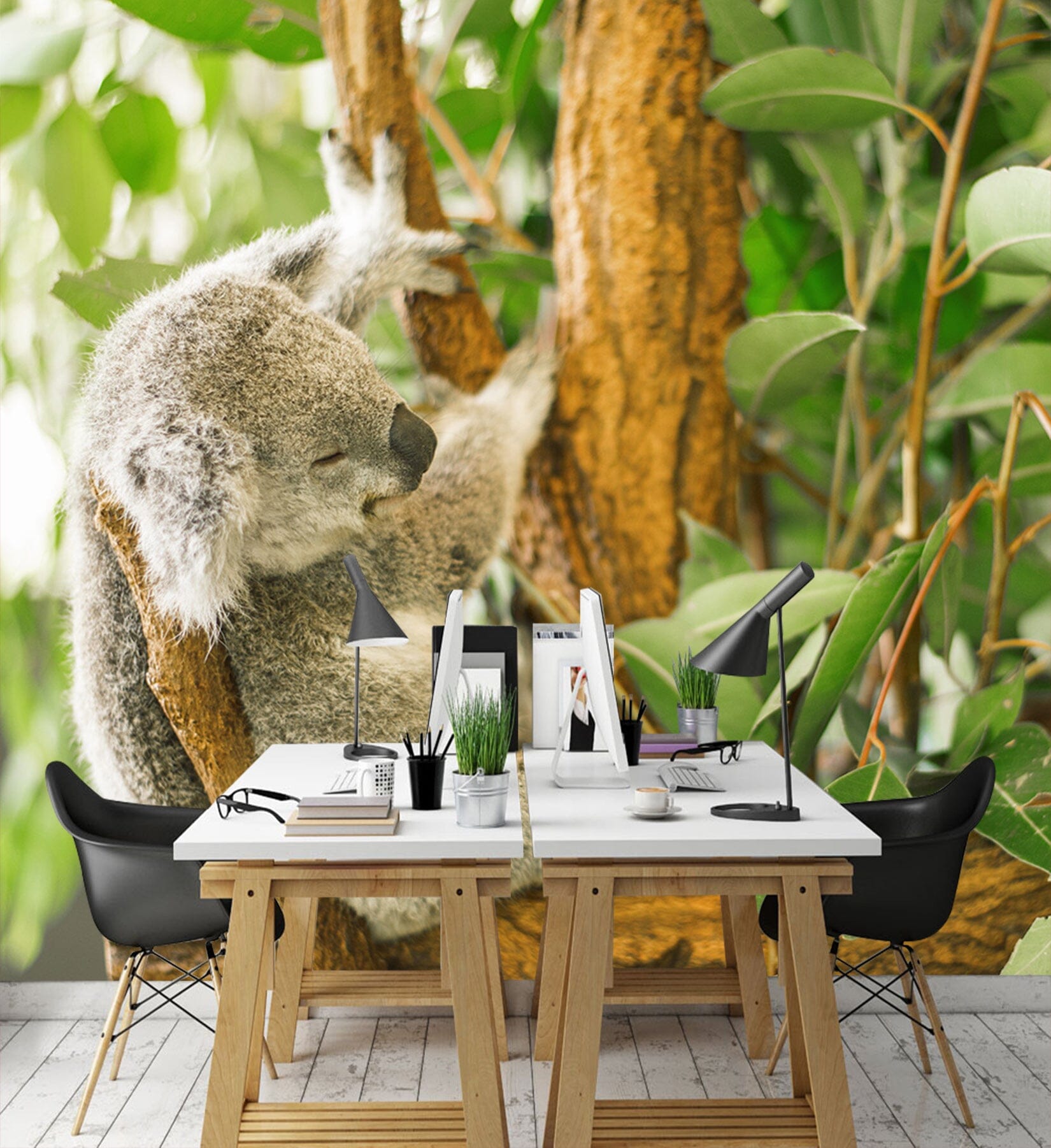 3D Cute Koala 308 Wall Murals Wallpaper AJ Wallpaper 2