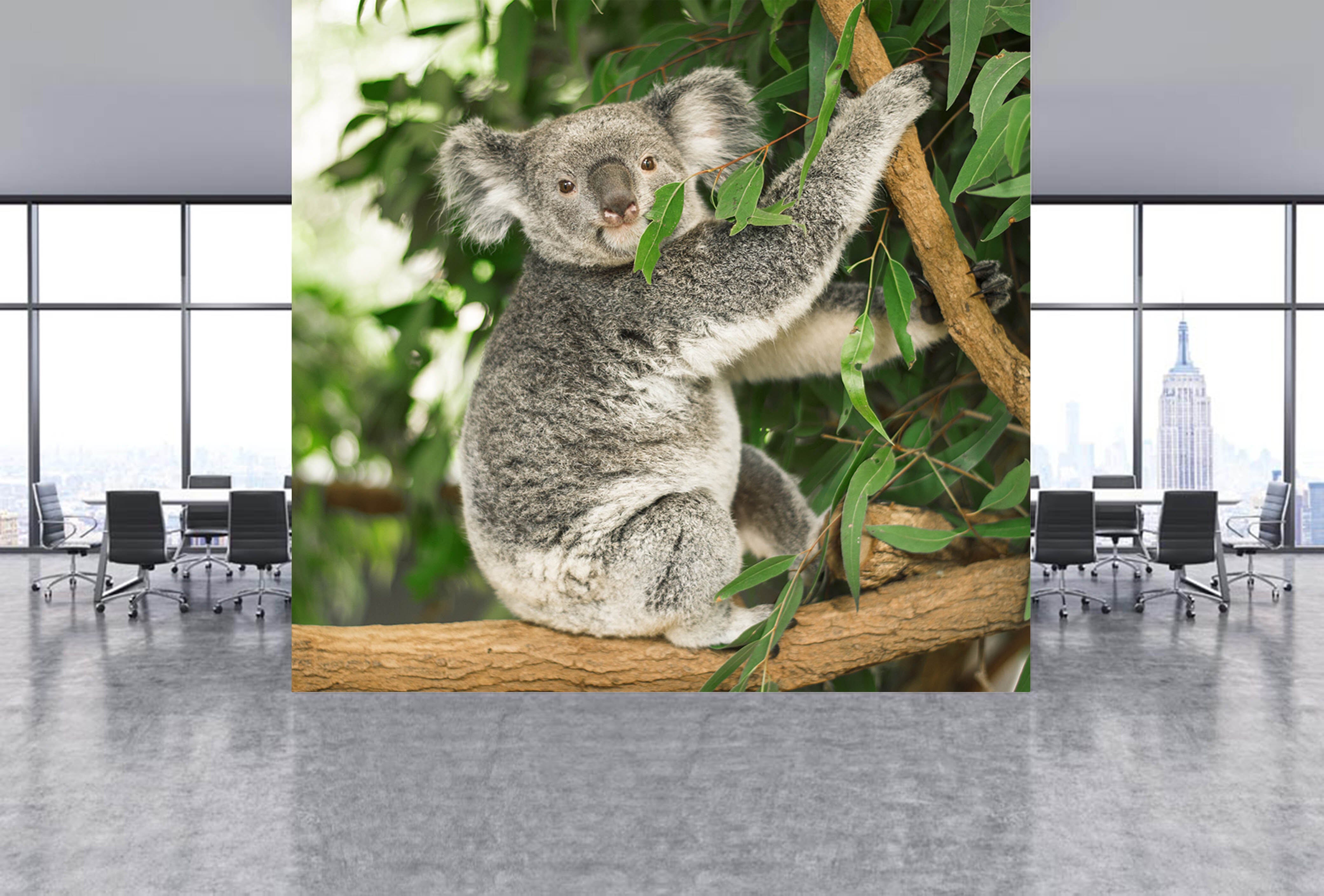 3D Koala Leaves 309 Wall Murals Wallpaper AJ Wallpaper 2