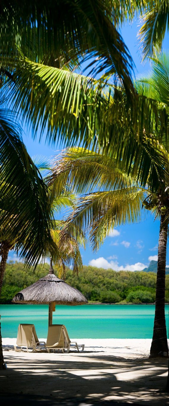 3d green palm sea door mural Wallpaper AJ Wallpaper