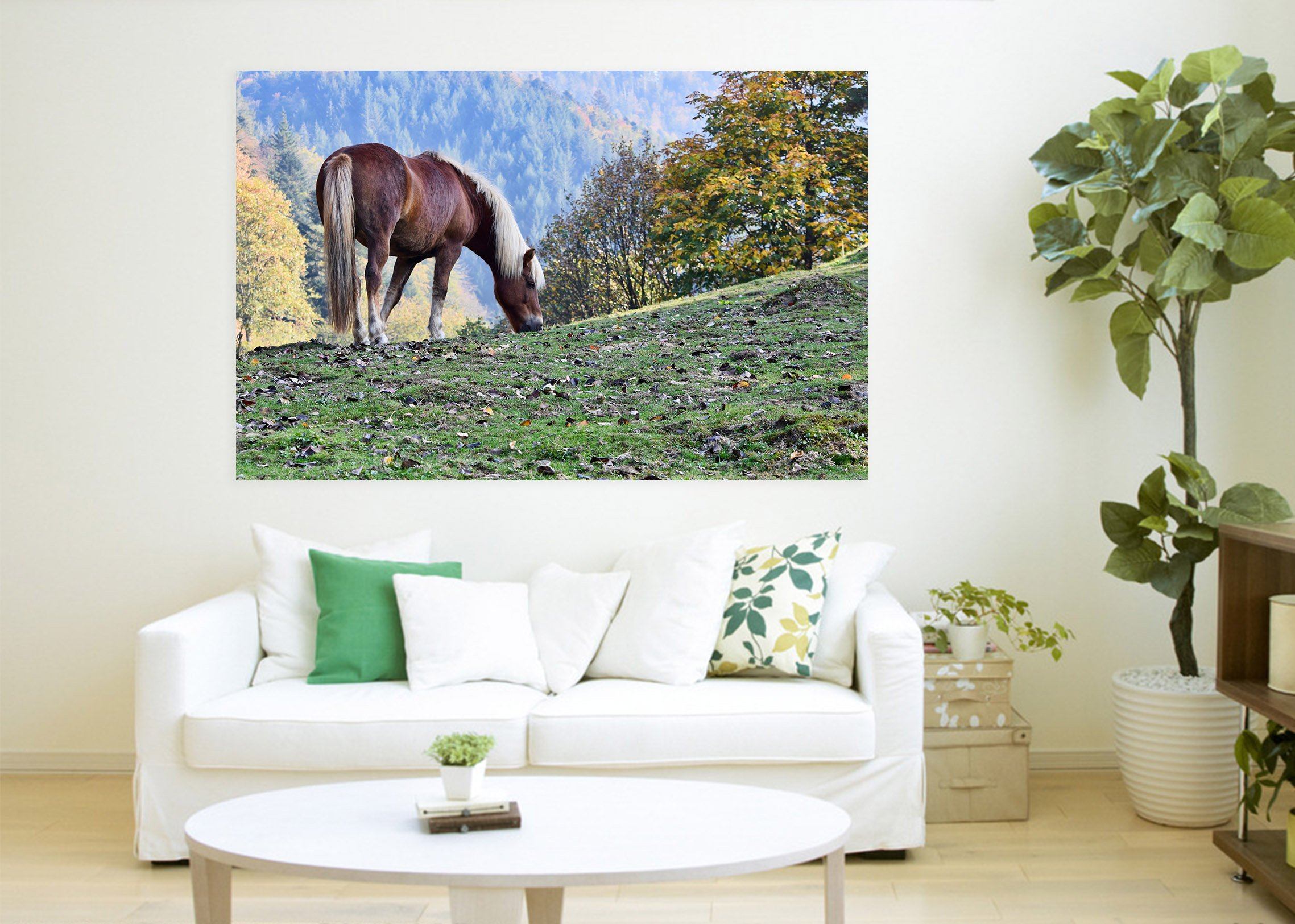3D Grass Grazing Horse 63 Animal Wall Stickers Wallpaper AJ Wallpaper 2