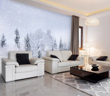 3D Snowy Landscape 131 Wall Murals Wallpaper AJ Wallpaper 2 
