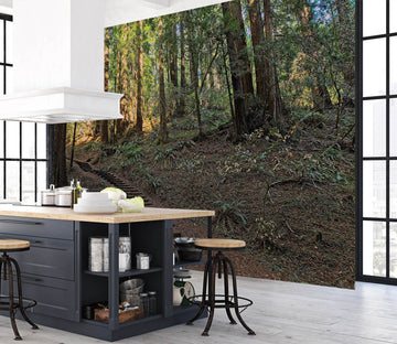 3D Path In The Woods 61152 Kathy Barefield Wall Mural Wall Murals