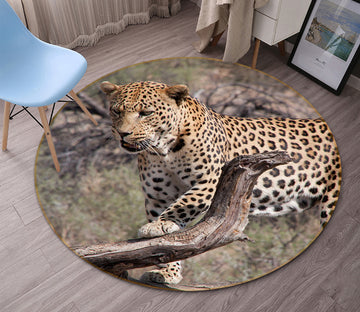 3D South Africa 82272 Animal Round Non Slip Rug Mat