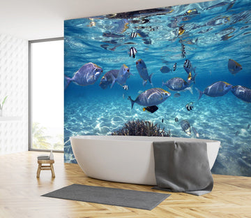 3D Submarine Fish 091 Wall Murals Wallpaper AJ Wallpaper 2 