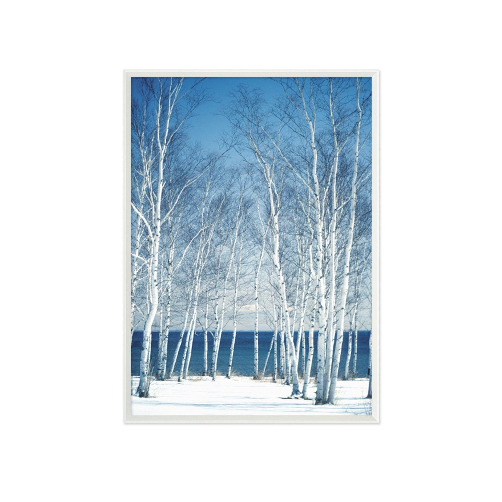 3D Snow Woods 033 Fake Framed Print Painting Wallpaper AJ Creativity Home