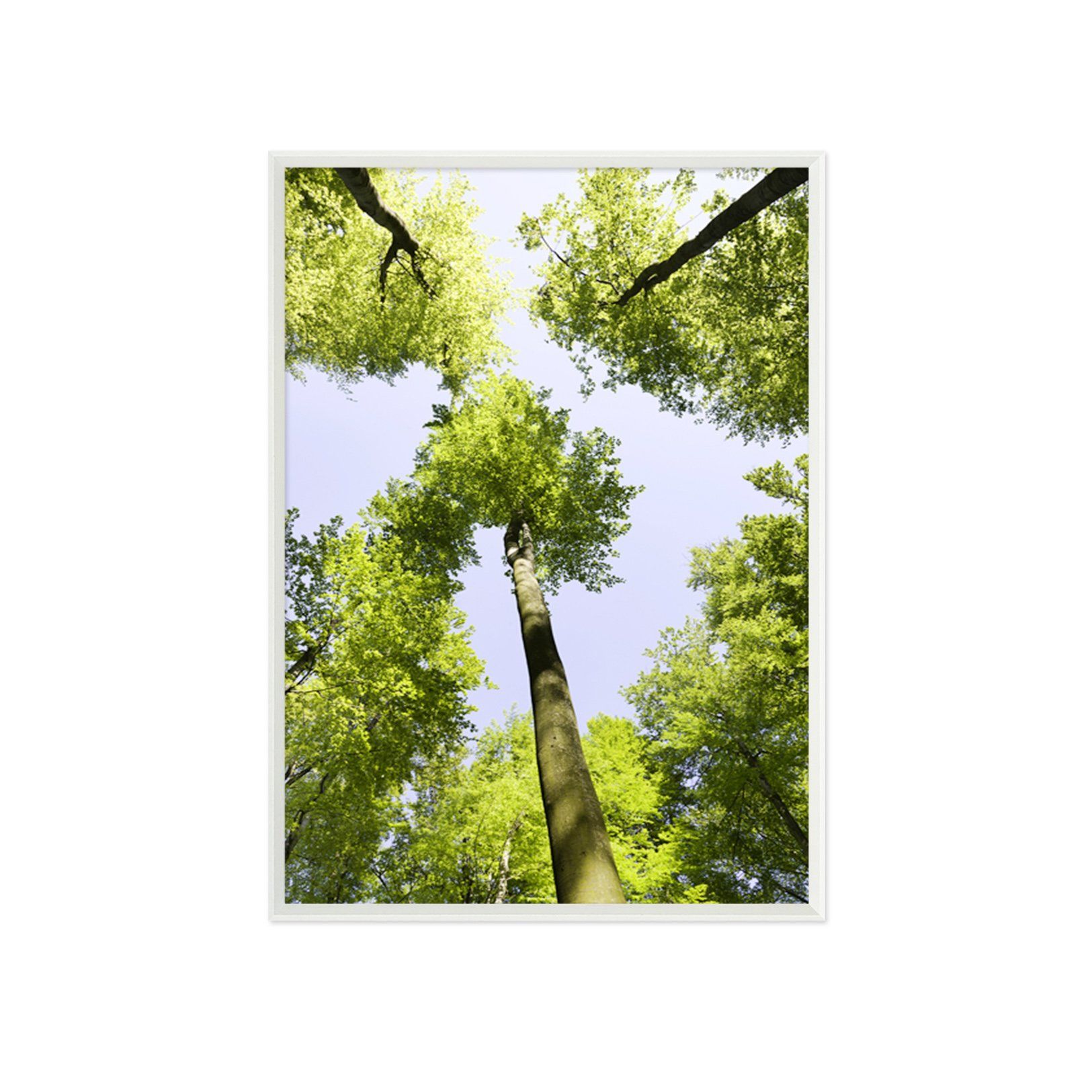 3D Big Tree 017 Fake Framed Print Painting Wallpaper AJ Creativity Home