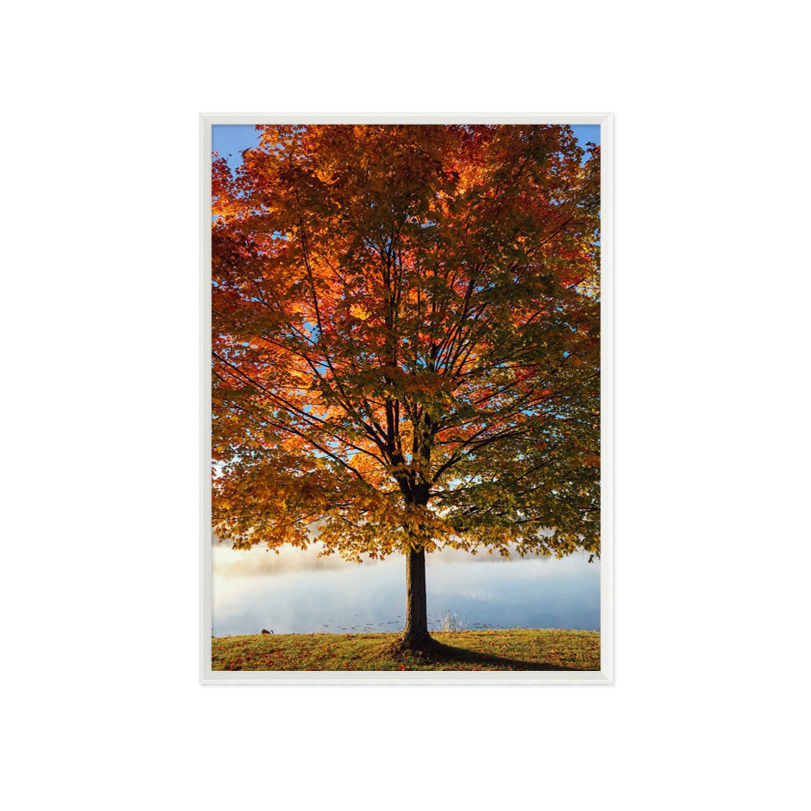 3D Maple Leaves 091 Fake Framed Print Painting Wallpaper AJ Creativity Home