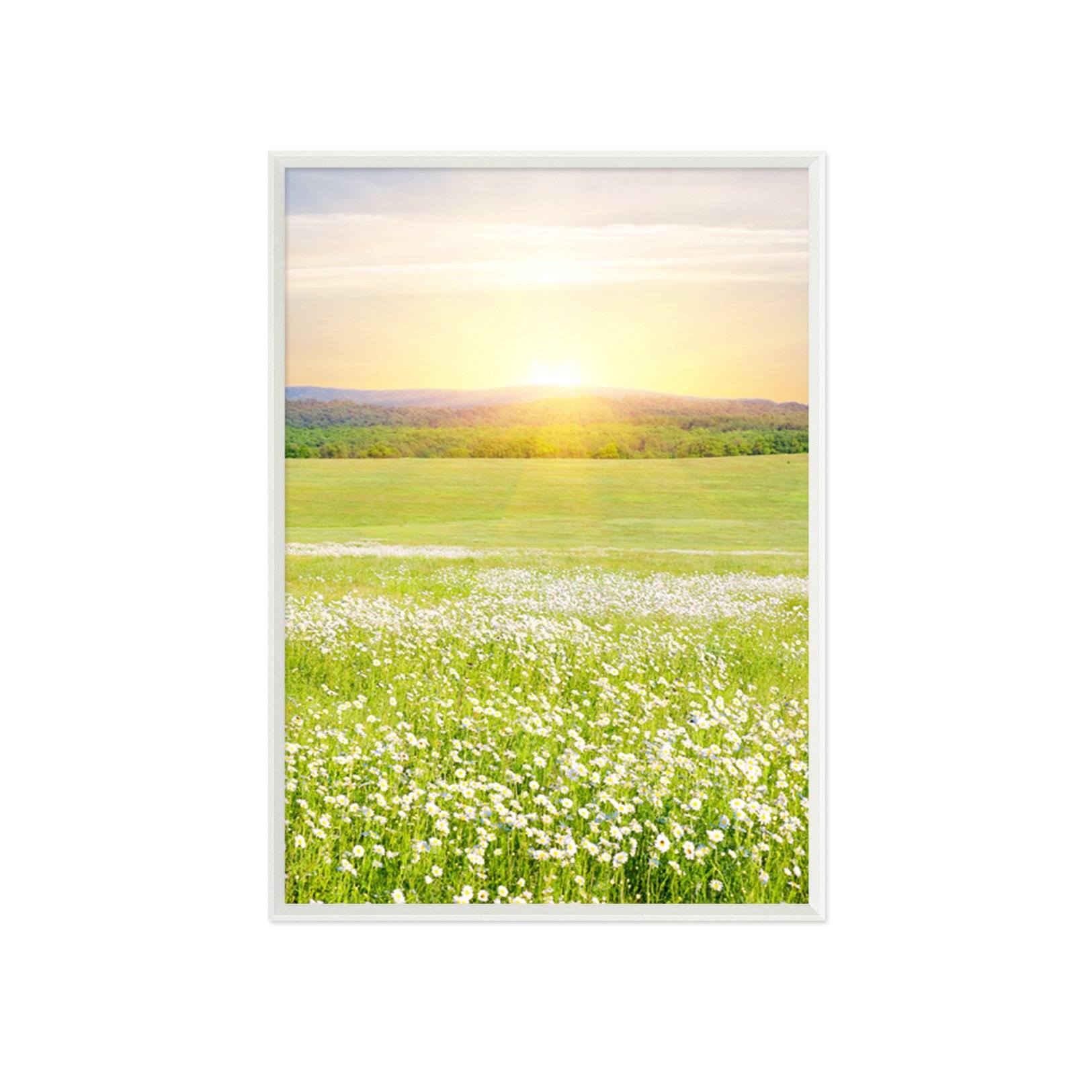 3D Beautiful Field 025 Fake Framed Print Painting Wallpaper AJ Creativity Home