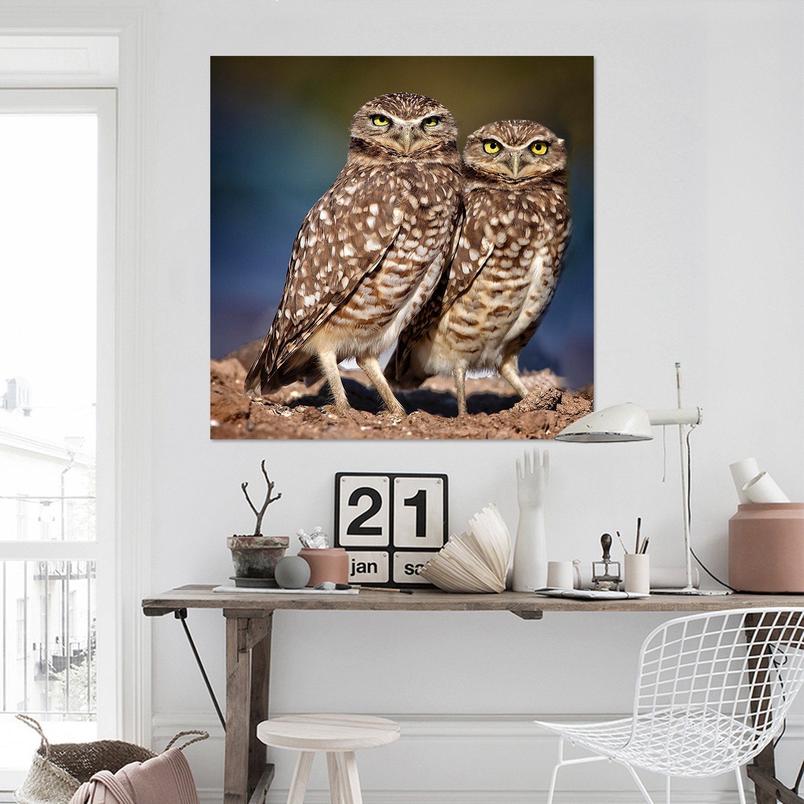 3D Burrowing Owl Buddies 006 Kathy Barefield Wall Sticker Wallpaper AJ Wallpaper 2