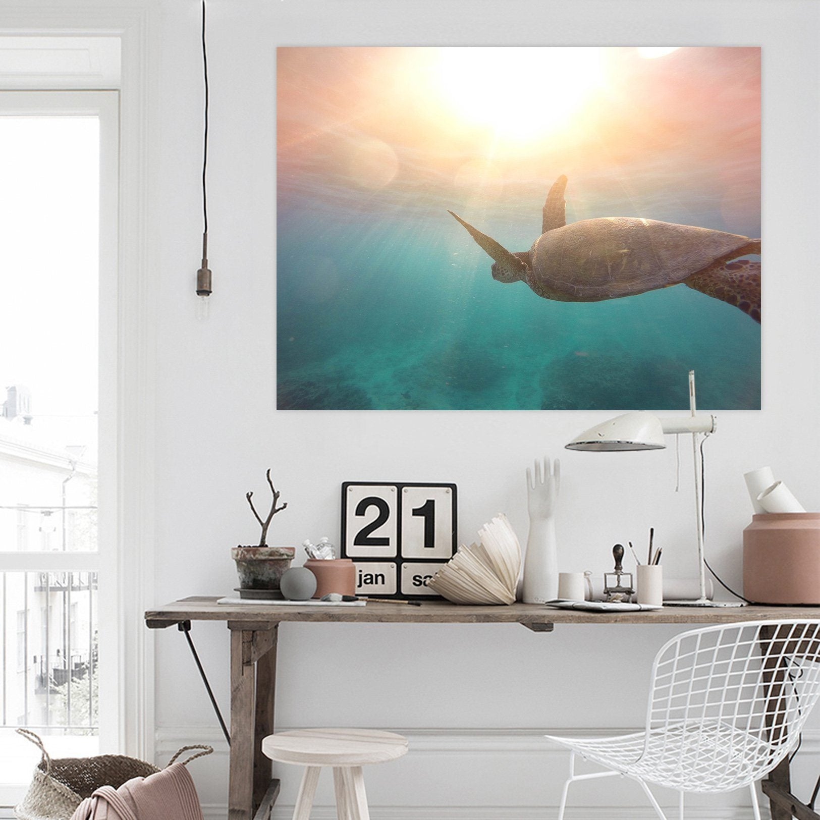 3D Turtle 110 Animal Wall Stickers Wallpaper AJ Wallpaper 2