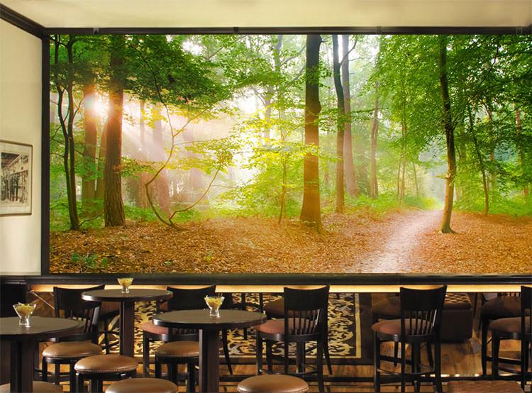 3D Sunshine Forest Scenery 087 Wallpaper AJ Wallpaper