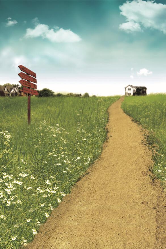 Grassland Sand Road Wallpaper AJ Wallpaper