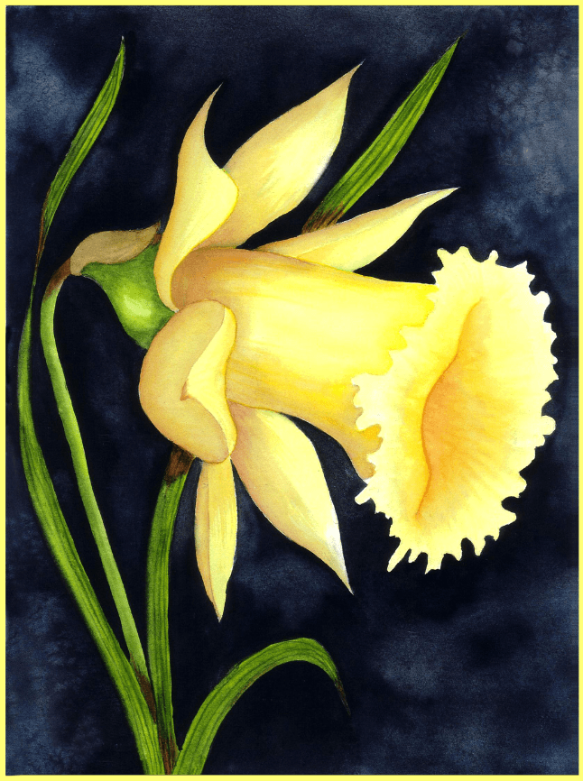 Shooter Flower Wallpaper AJ Wallpaper