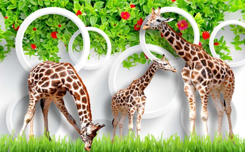 Three Giraffes Wallpaper AJ Wallpaper 2