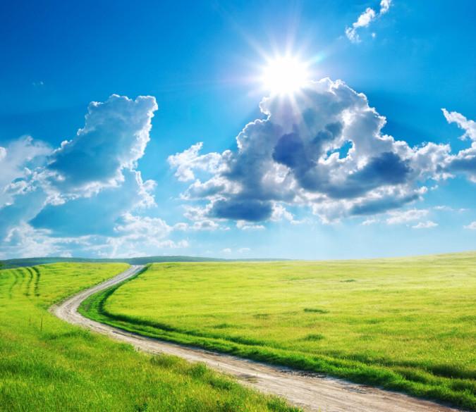 Plain Path Wallpaper AJ Wallpaper