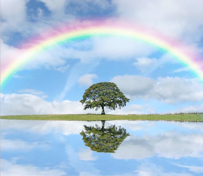 Rainbow Tree Wallpaper AJ Wallpaper