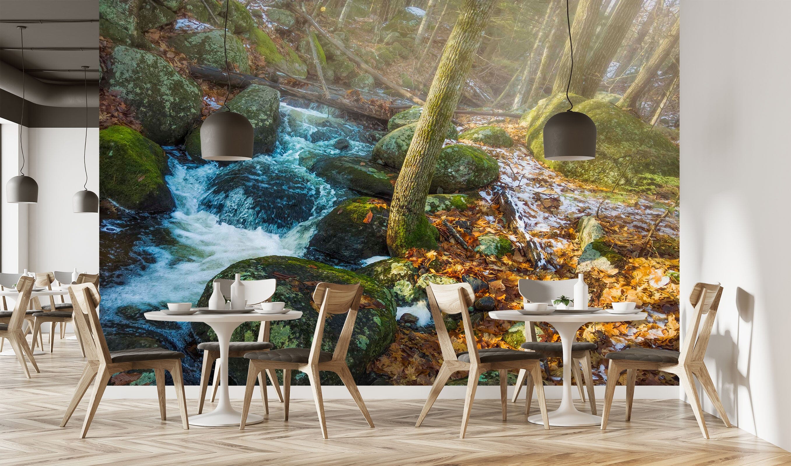 3D Forest Stream 108 Jerry LoFaro Wall Mural Wall Murals Wallpaper AJ Wallpaper 2