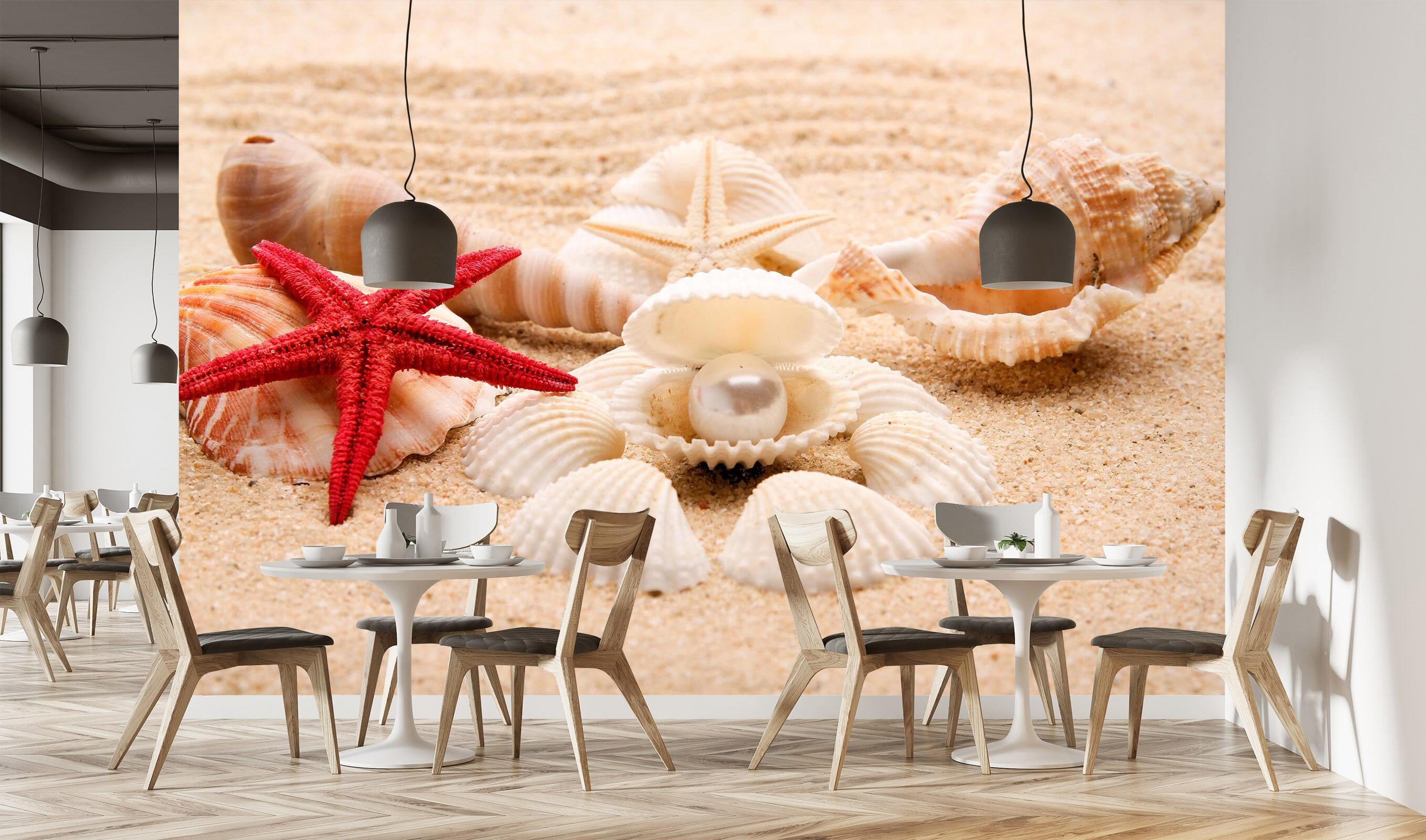 3D Beach Shells 2017 Wall Murals Wallpaper AJ Wallpaper 2