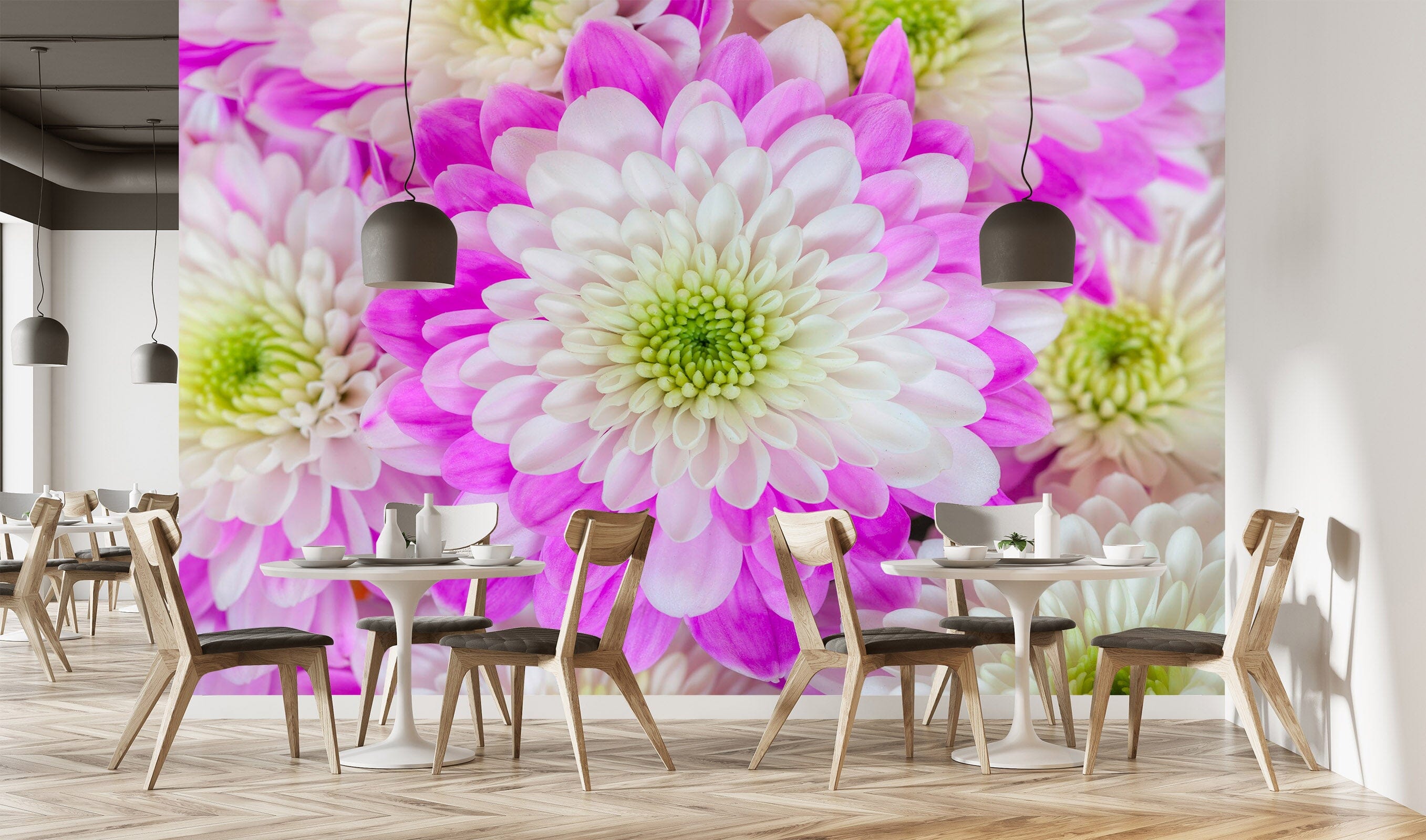 3D White Chrysanthemum 1422 Assaf Frank Wall Mural Wall Murals Wallpaper AJ Wallpaper 2