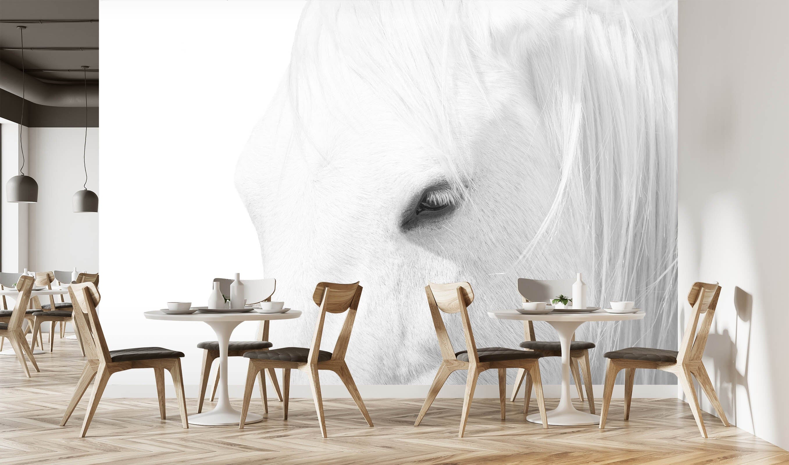 3D White Horse 1452 Marco Carmassi Wall Mural Wall Murals Wallpaper AJ Wallpaper 2