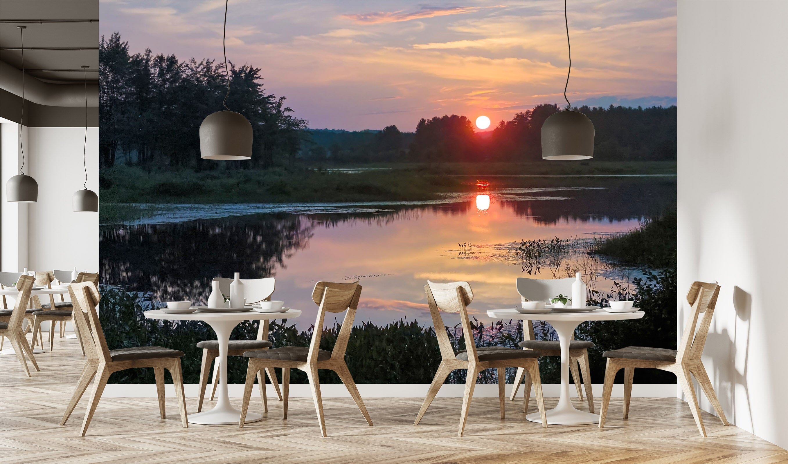 3D Sunset Forest 128 Jerry LoFaro Wall Mural Wall Murals Wallpaper AJ Wallpaper 2