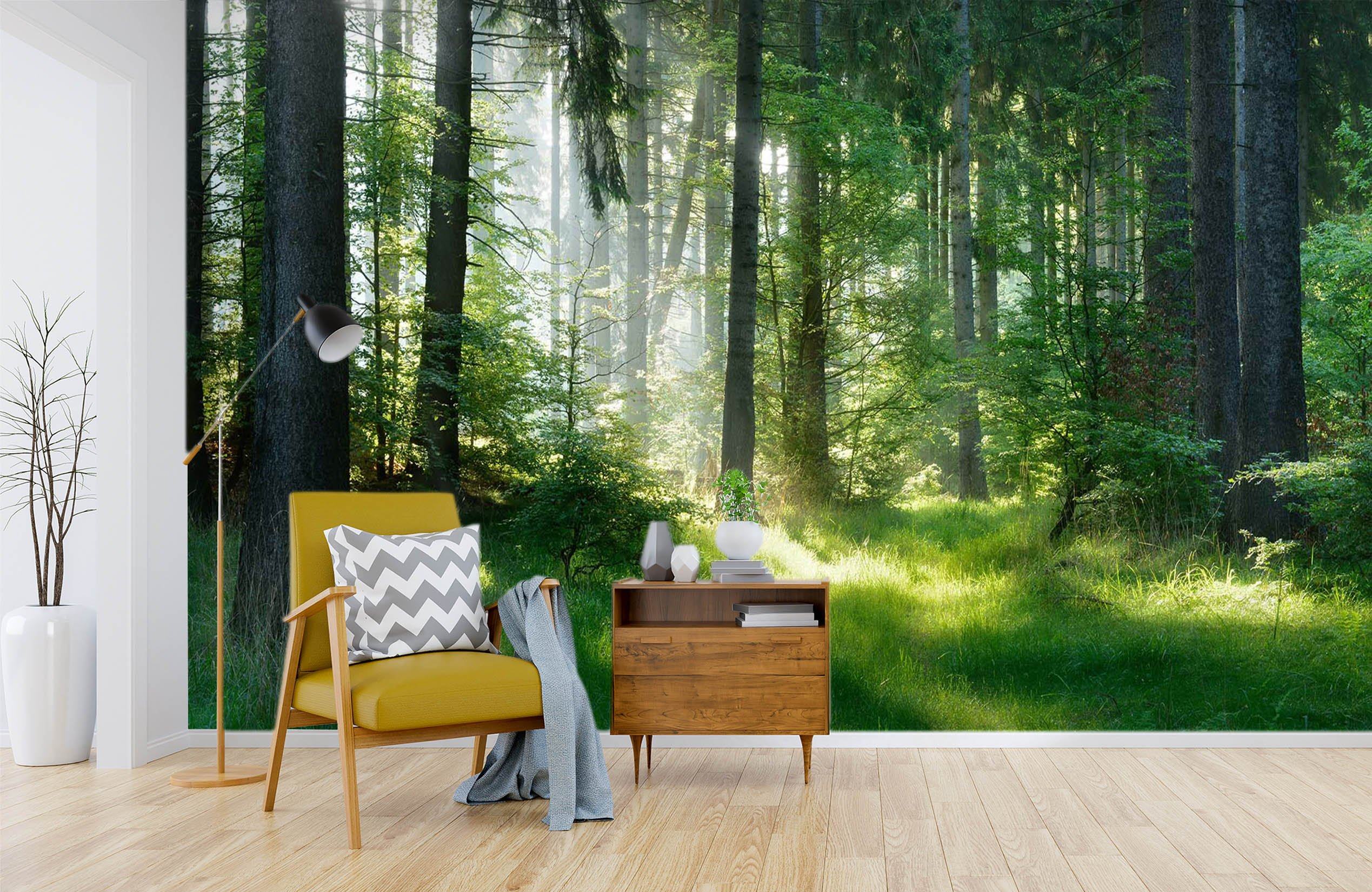 3D Sunshine Forest 663 Wallpaper AJ Wallpaper 2
