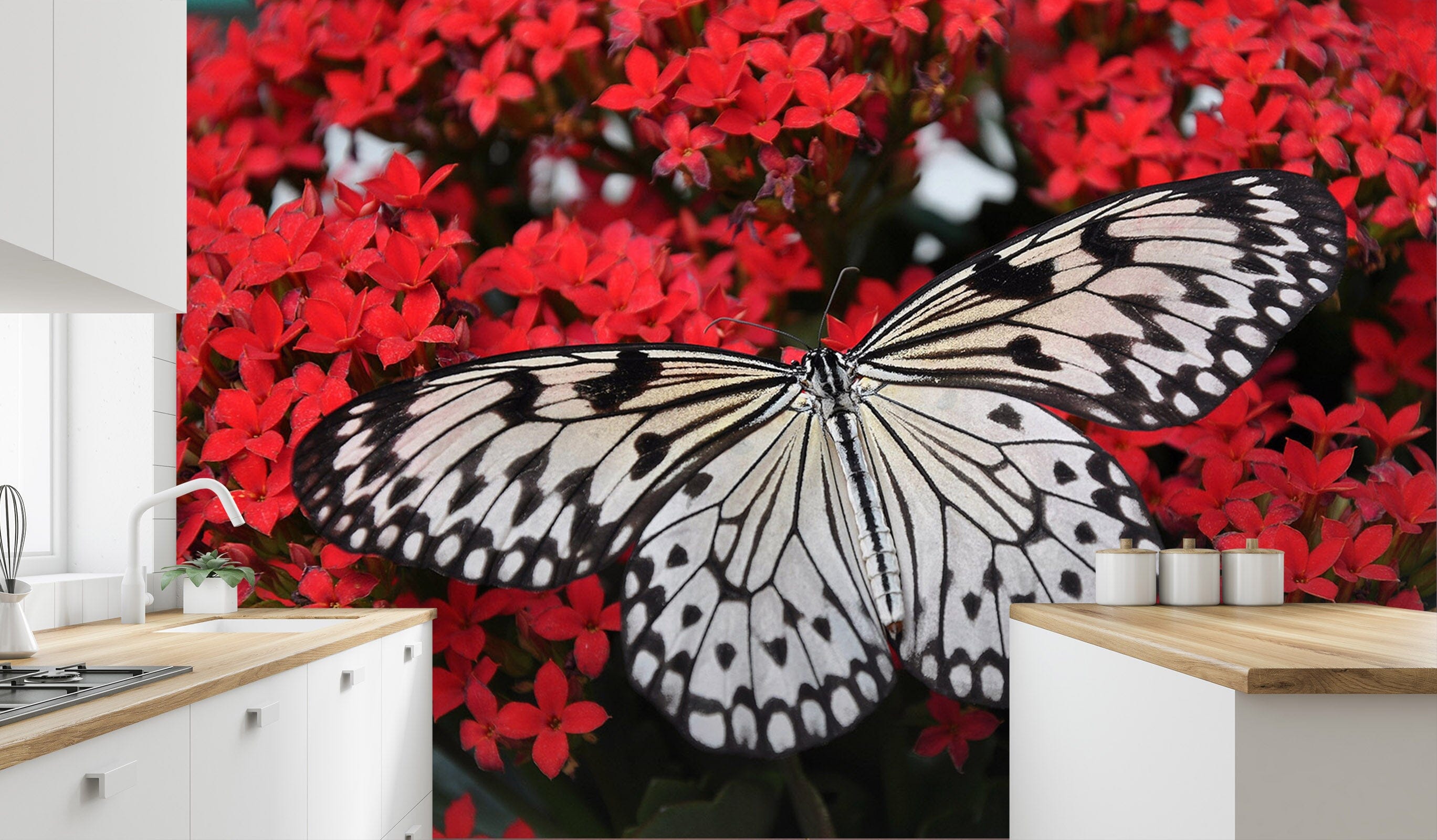 3D Black Butterfly 145 Wall Murals Wallpaper AJ Wallpaper 2