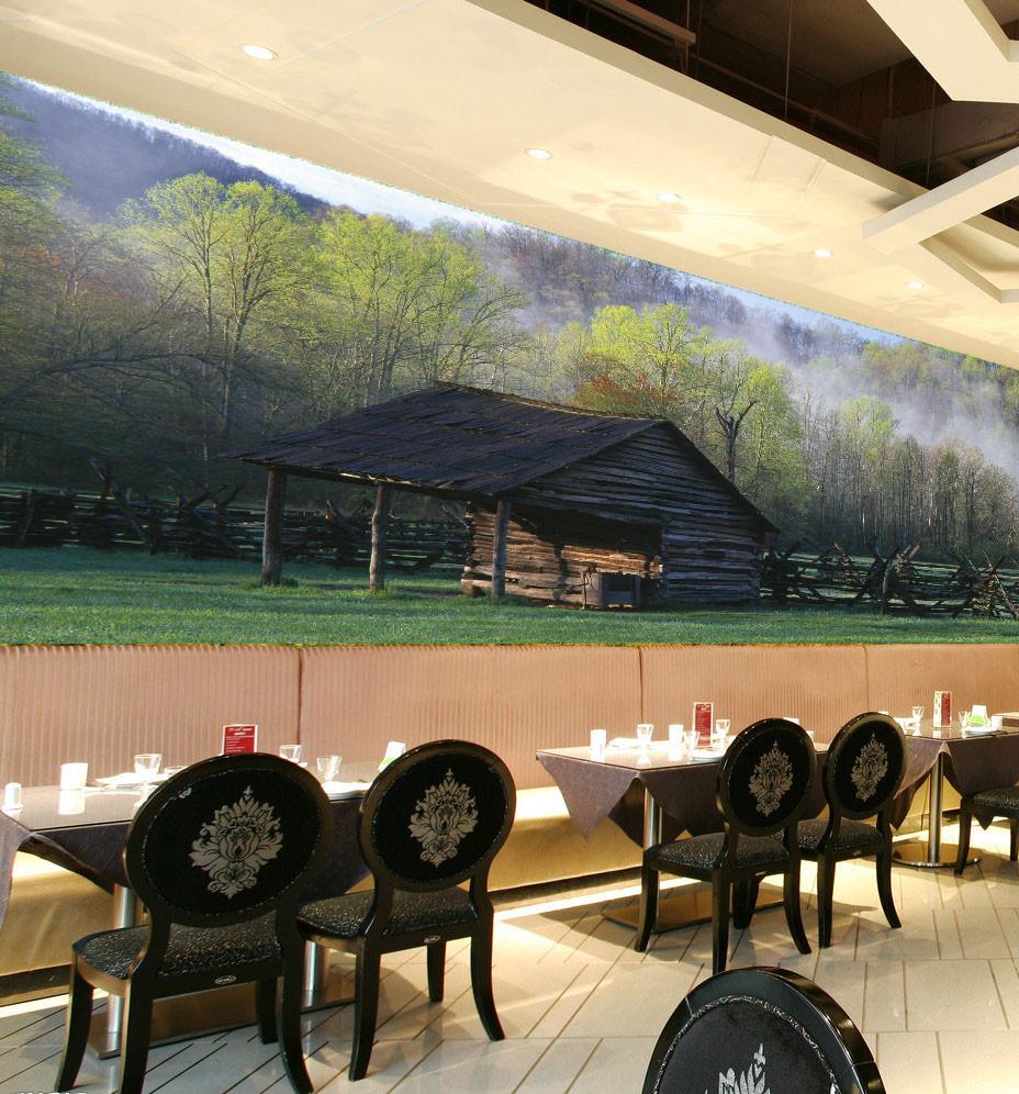 Forest Wood Hut Wallpaper AJ Wallpaper