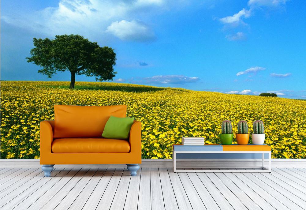 Yellow Camomile Fields Wallpaper AJ Wallpaper