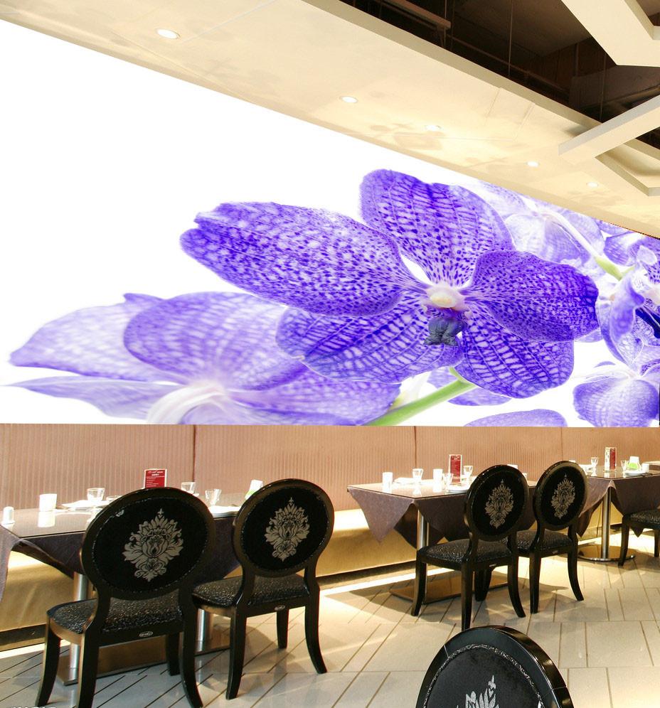 Blue Flowers 1 Wallpaper AJ Wallpaper