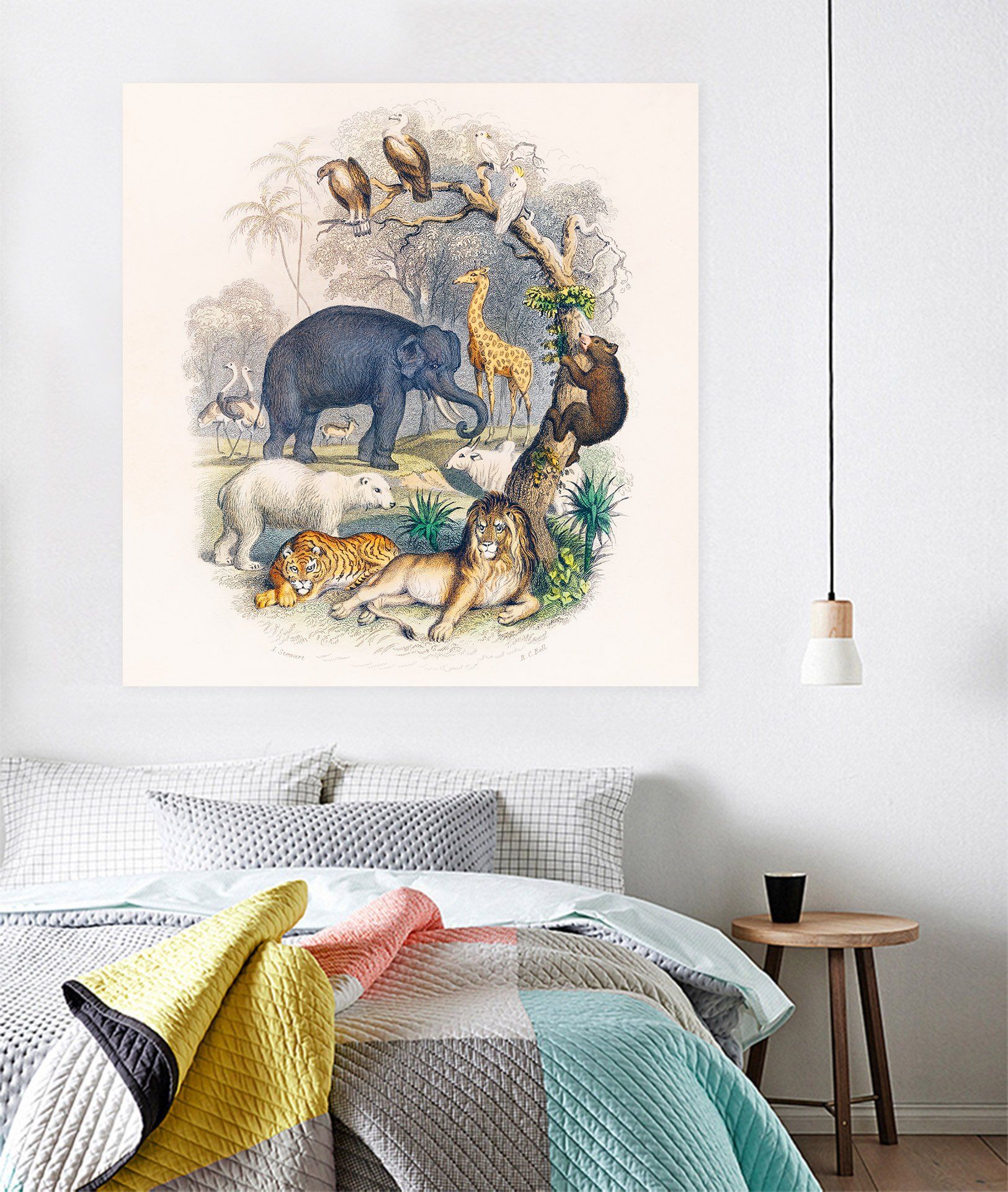 3D Zoo 138 Animal Wall Stickers Wallpaper AJ Wallpaper 2