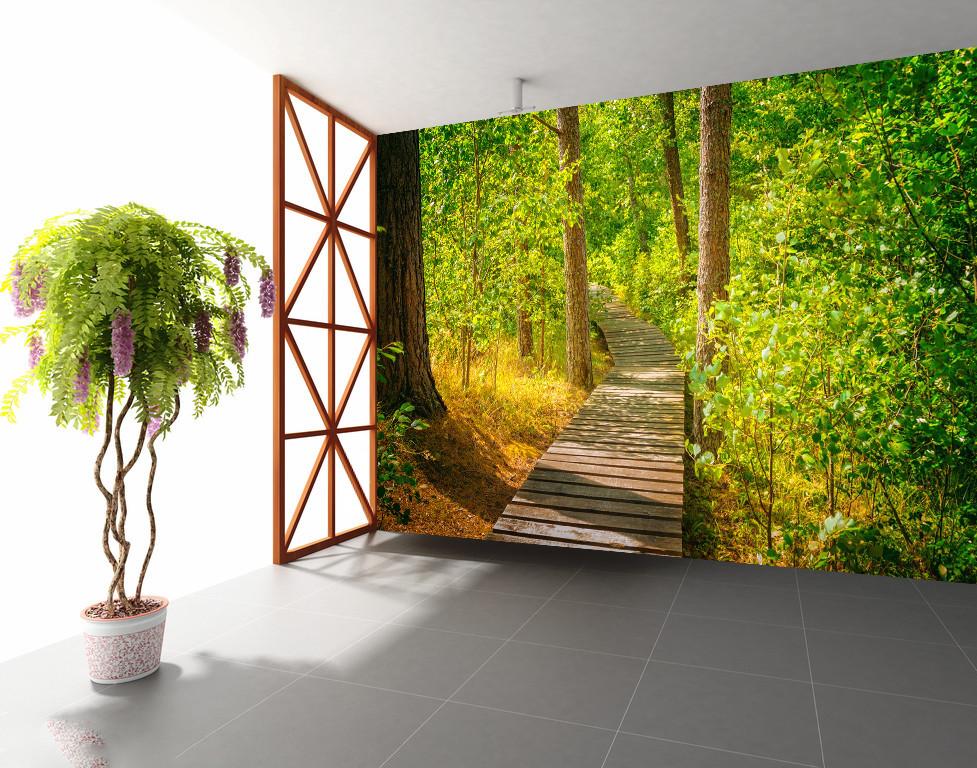 3D Jungle Forest Sunshine 535 Wallpaper AJ Wallpaper