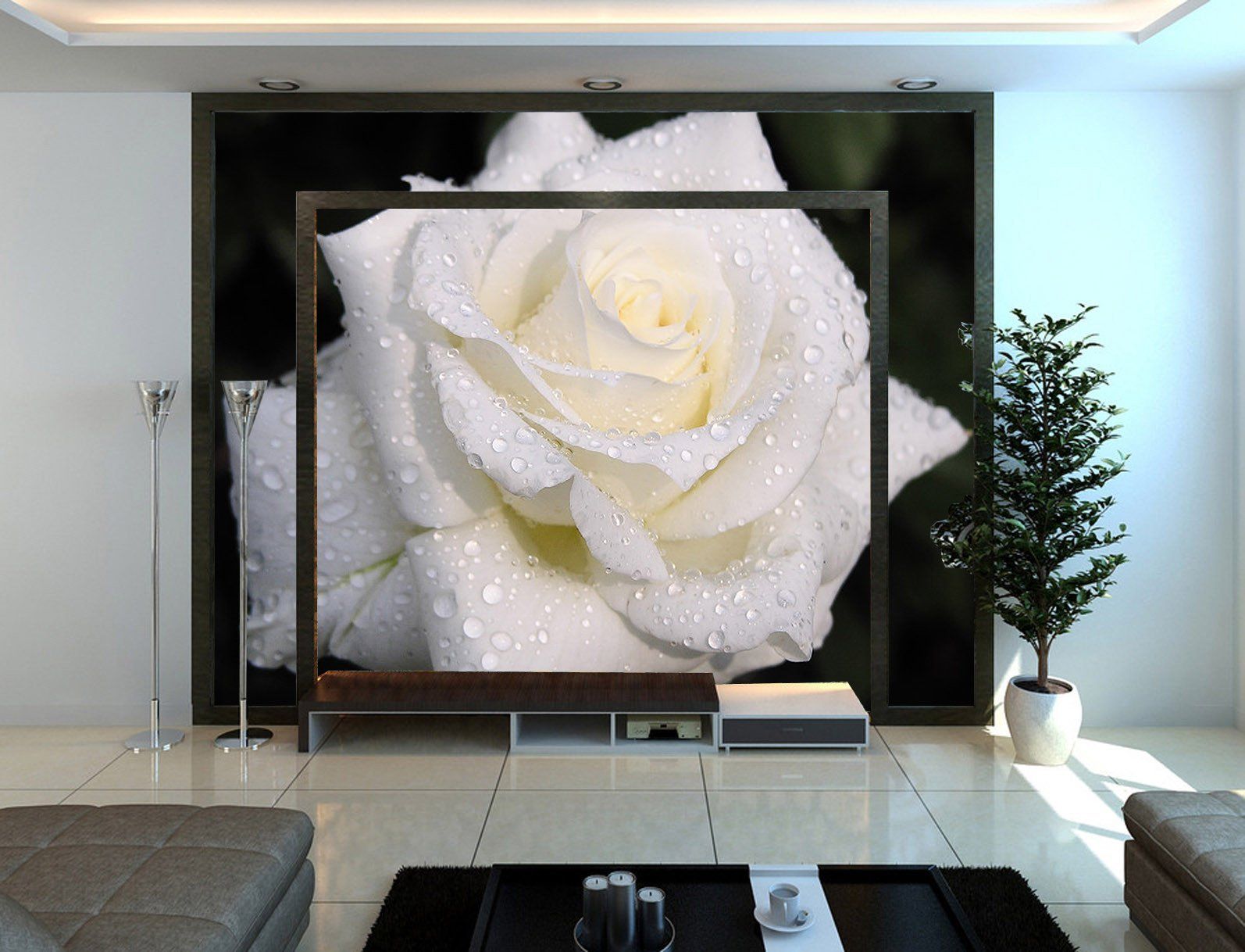 Dewy White Rose Wallpaper AJ Wallpaper