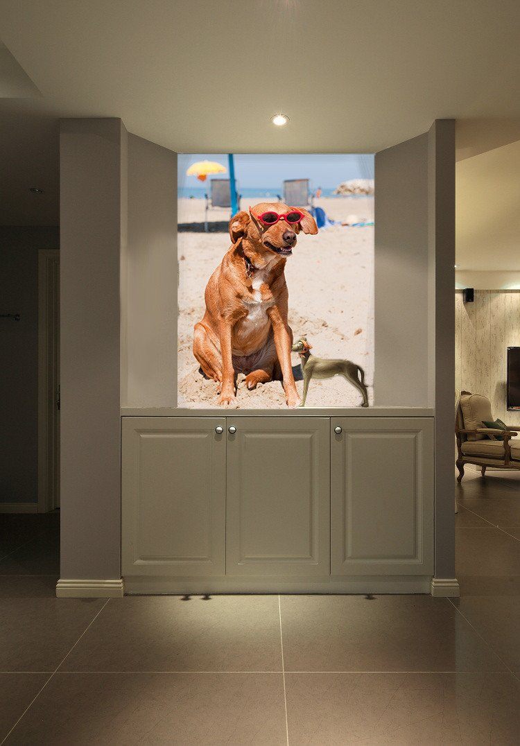 Cute Dog Wallpaper AJ Wallpaper