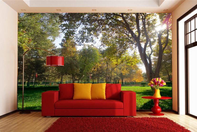 Trees And Grassland Wallpaper AJ Wallpaper