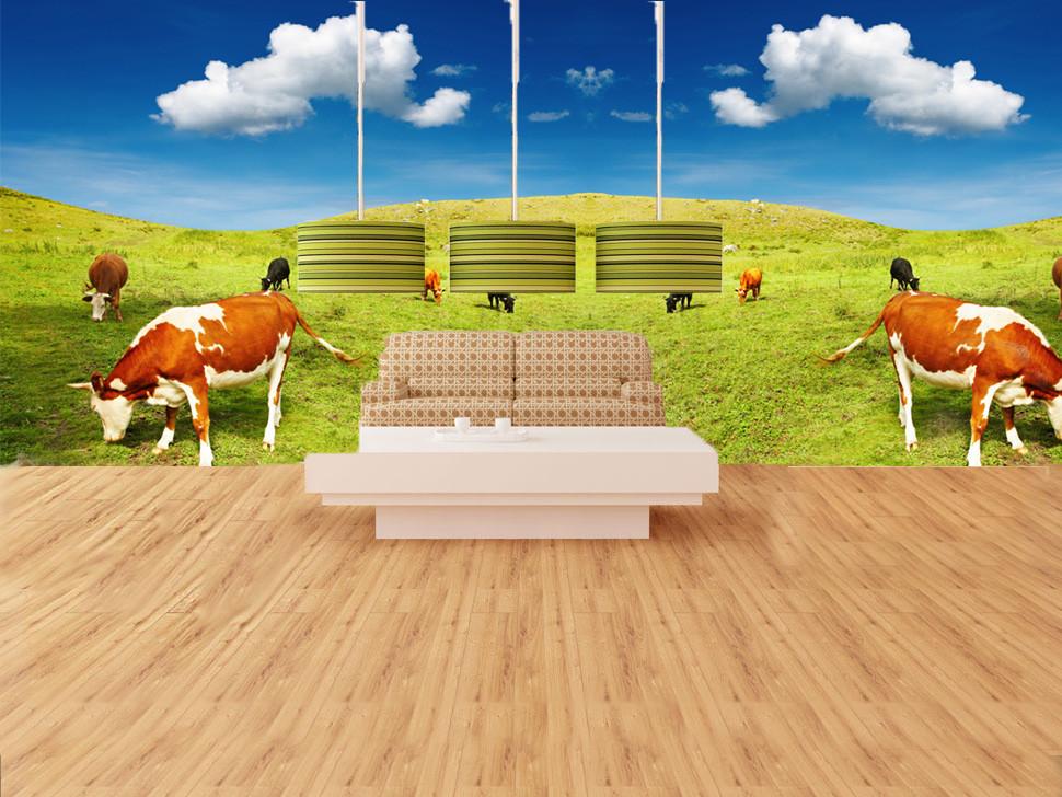 Browsing Cattles Wallpaper AJ Wallpaper