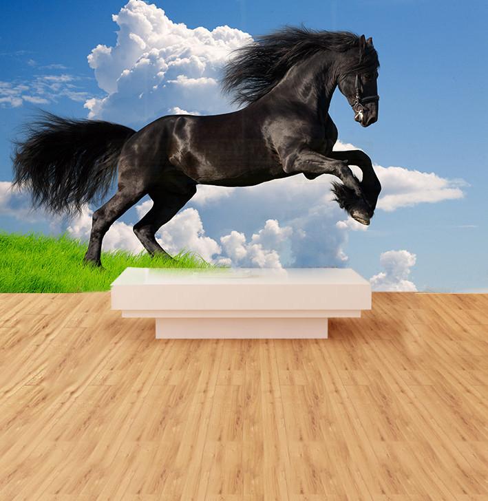 Jumping Horse 1 Wallpaper AJ Wallpaper