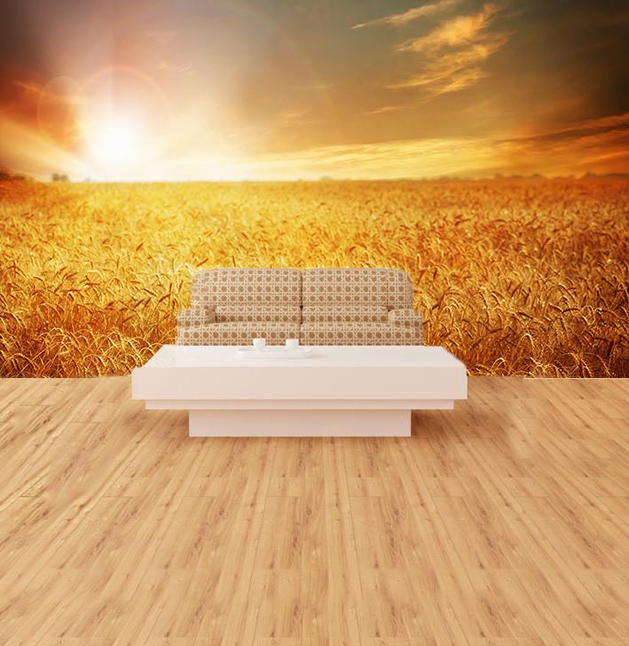Golden Wheat Fields 2 Wallpaper AJ Wallpaper