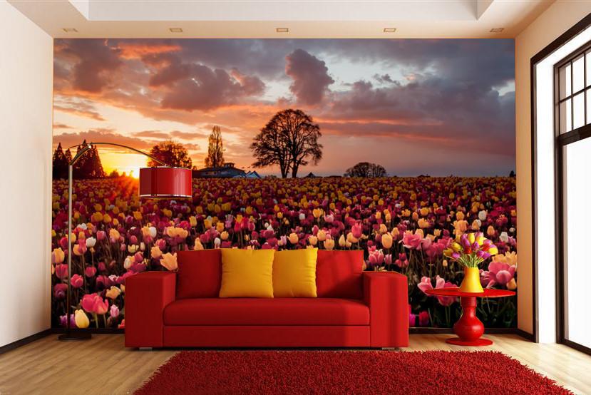 Beautiful Tulips Fields Wallpaper AJ Wallpaper