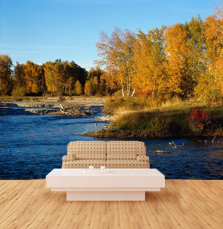 Forest River 2 Wallpaper AJ Wallpaper