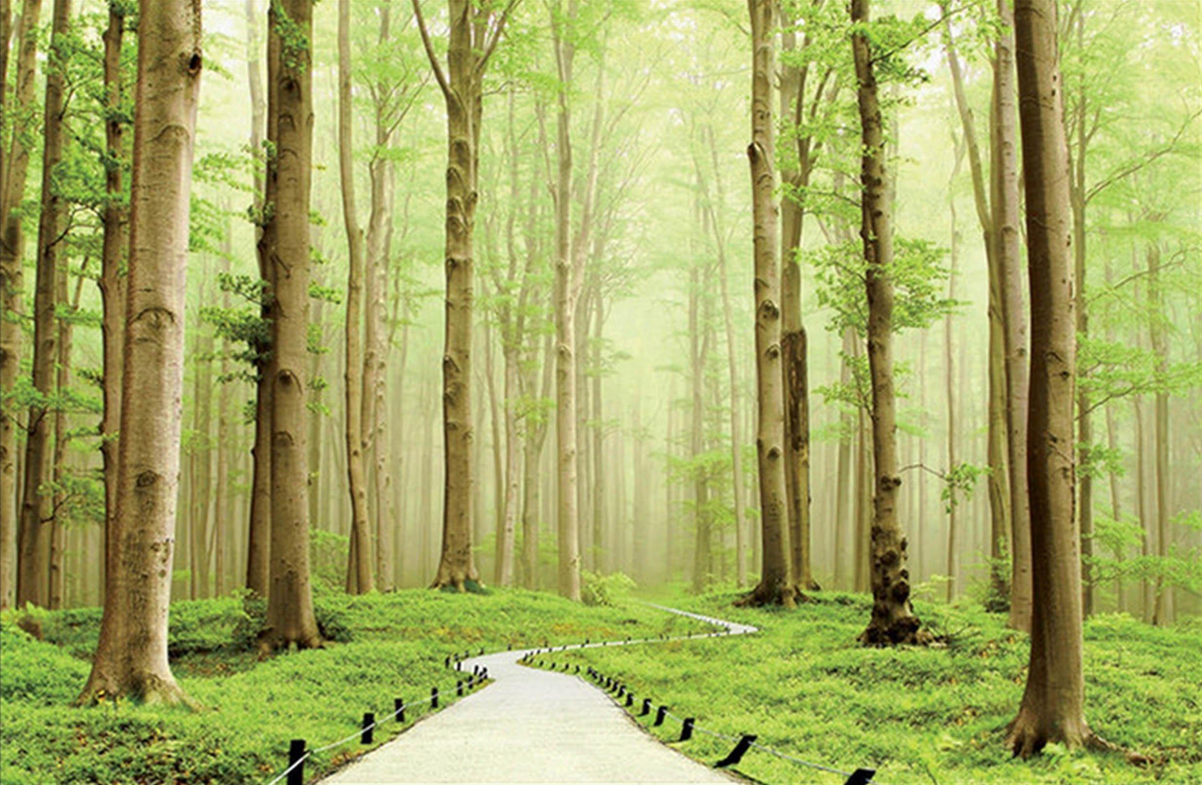 3D Misty Green Forest 394 Garage Door Mural Wallpaper AJ Wallpaper