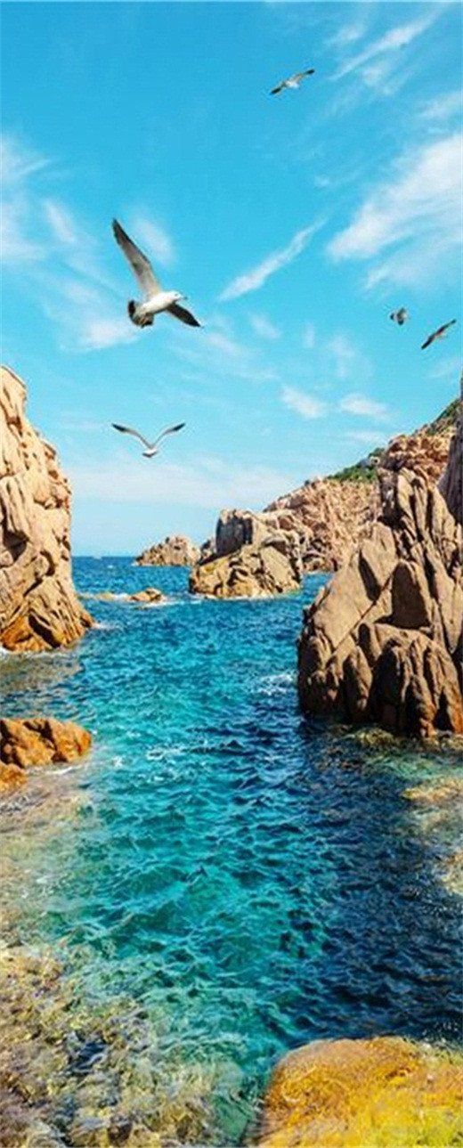 3D water and seagulls sea door mural Wallpaper AJ Wallpaper