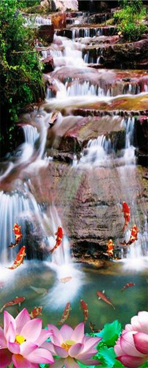 3D carp in water door mural Wallpaper AJ Wallpaper