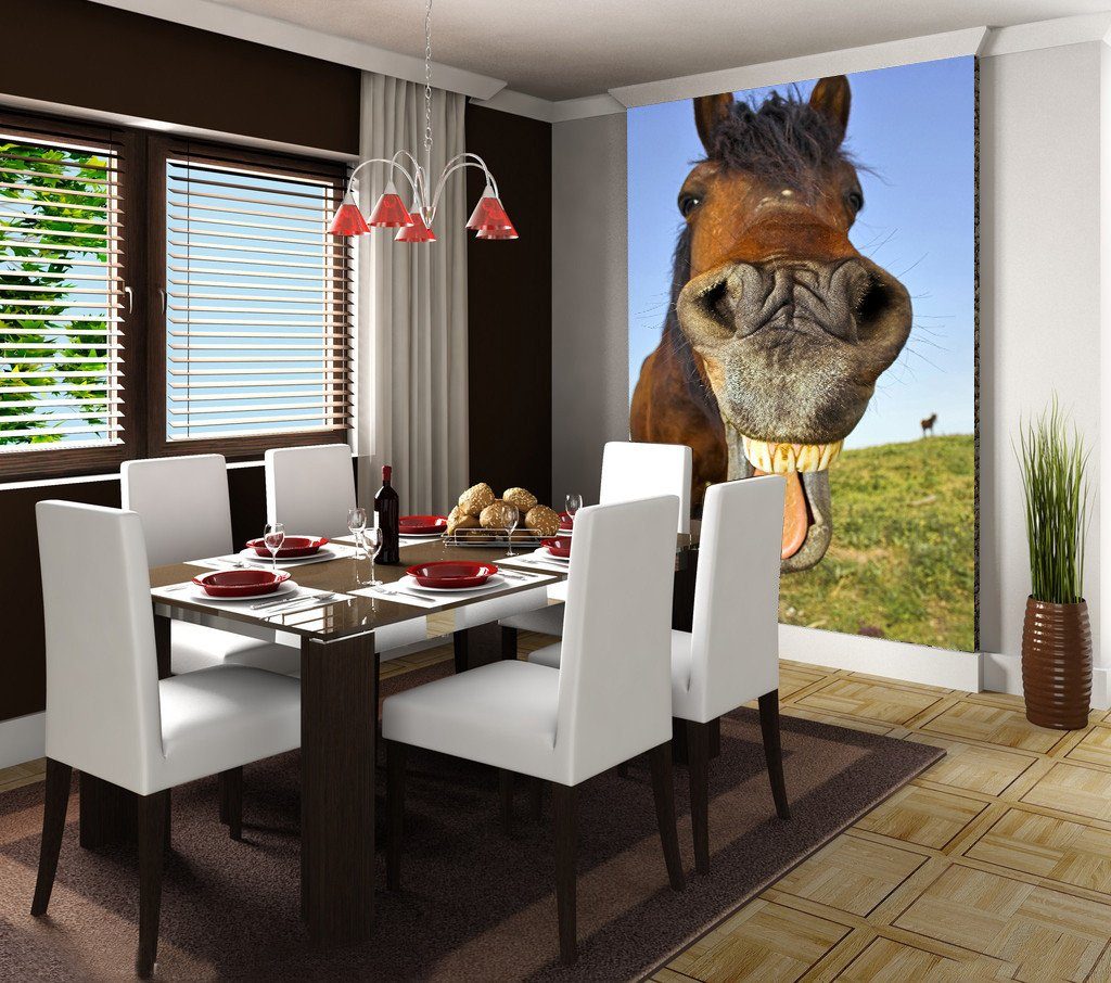 Laughing Horse Wallpaper AJ Wallpaper