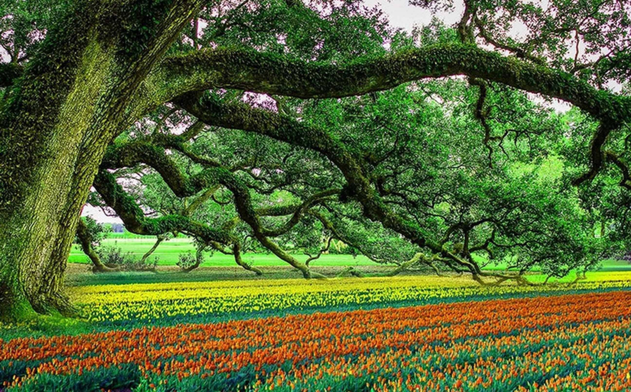 3D Flowers Trees 62 Garage Door Mural Wallpaper AJ Wallpaper