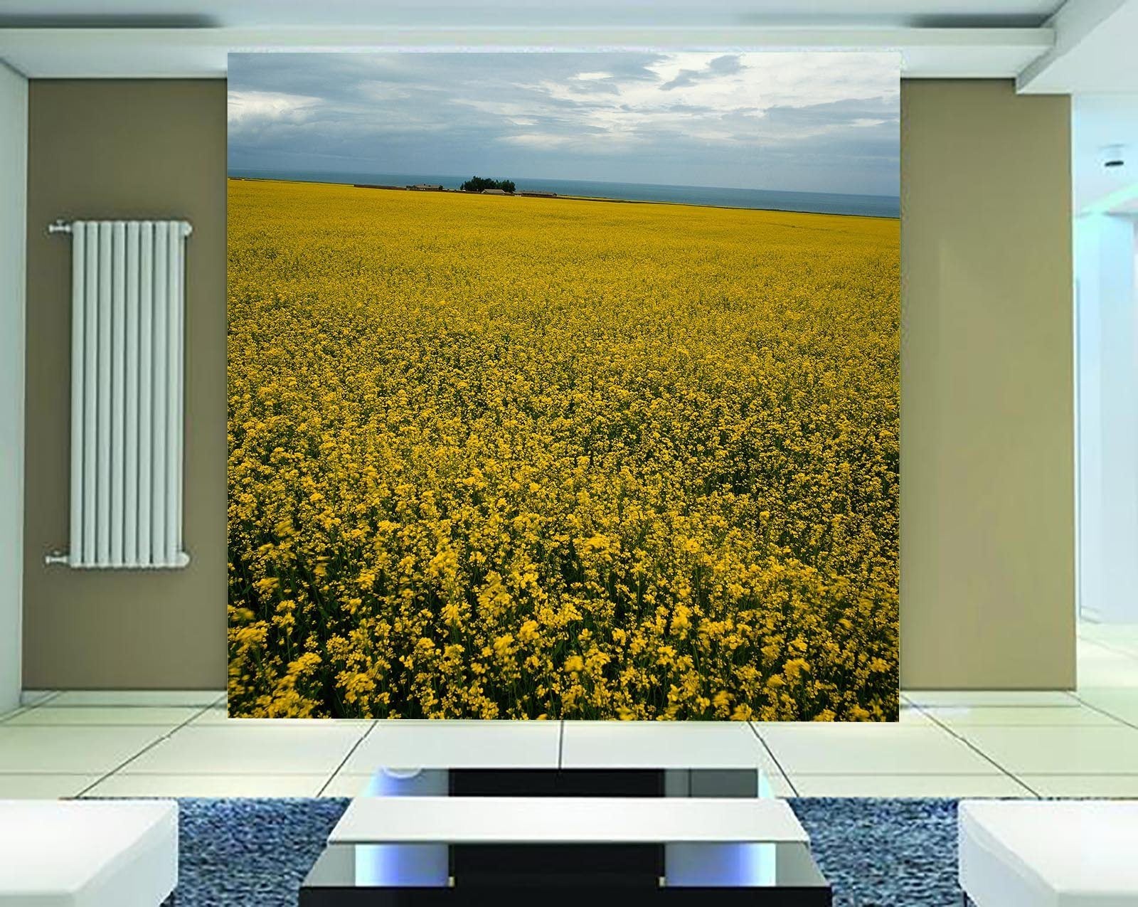 Rape Flower Fields 6 Wallpaper AJ Wallpaper