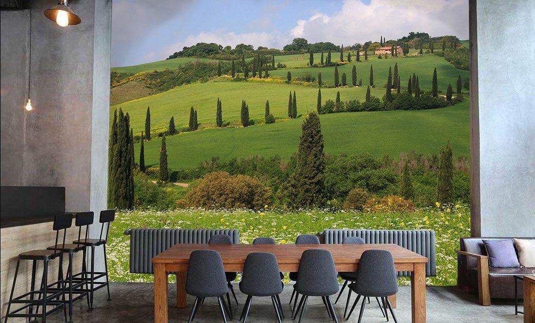 Winding Road Wallpaper AJ Wallpaper