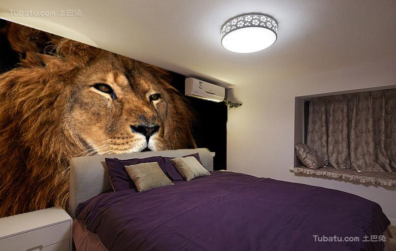 Staring Lion Wallpaper AJ Wallpaper