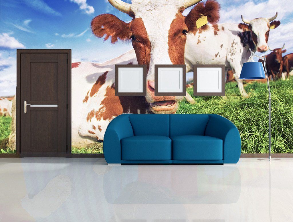 Resting Cattles Wallpaper AJ Wallpaper